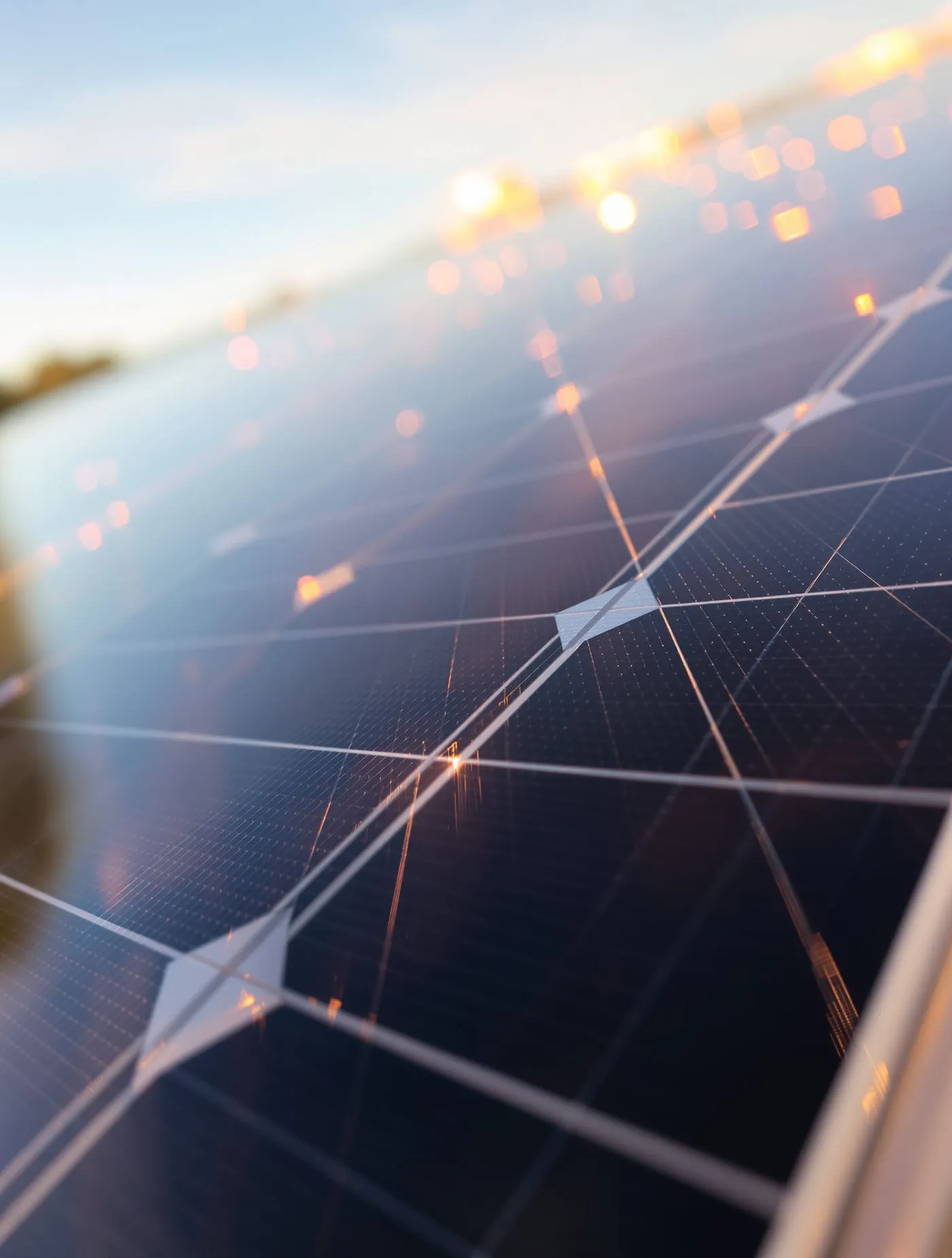 Illustrative image: close-up of a solar panel surface catching the evening light